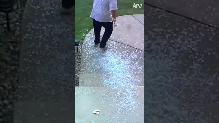 Rögzítve, hogy soha ne felejtse el a kudarcát! #AFV #Fail Rögzítve, hogy soha ne felejtse el a kudarcát! #AFV #Fail …
– videó