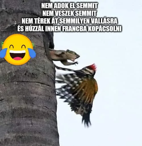 #VK1747382429 #VK1747382429