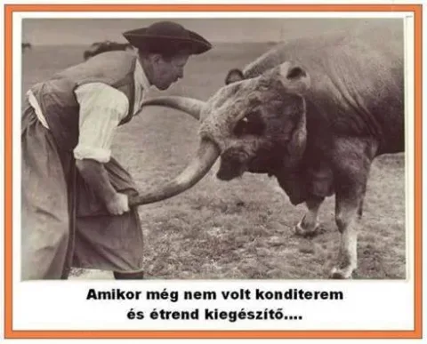 #VK1747418443