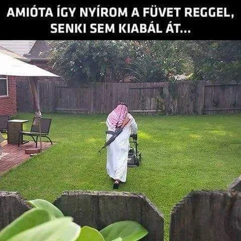 #VK1747461633
