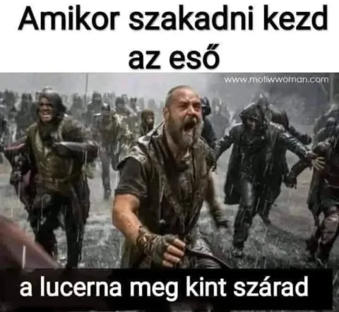 #VK1747464428