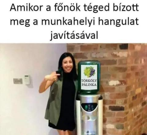 #VK1747580781