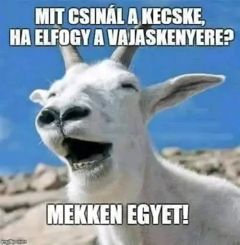 #VK1747580883
