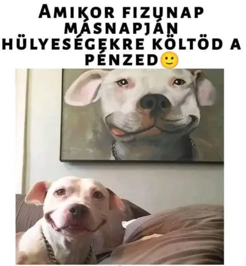 #VK1747912622