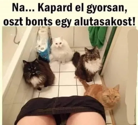 #VK1748005008