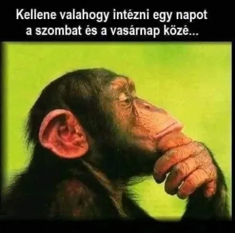#VK1748078993