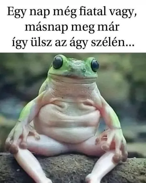#VK1748194459