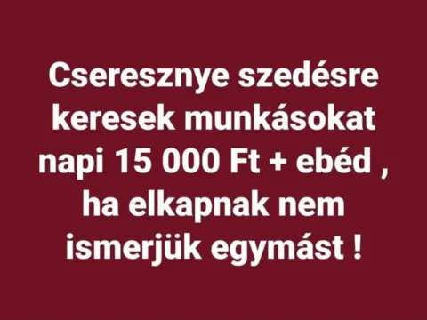 #VK1748272601