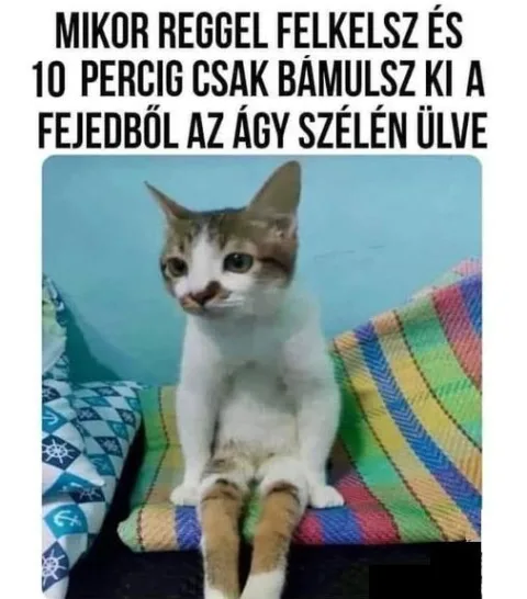 #VK1748335461