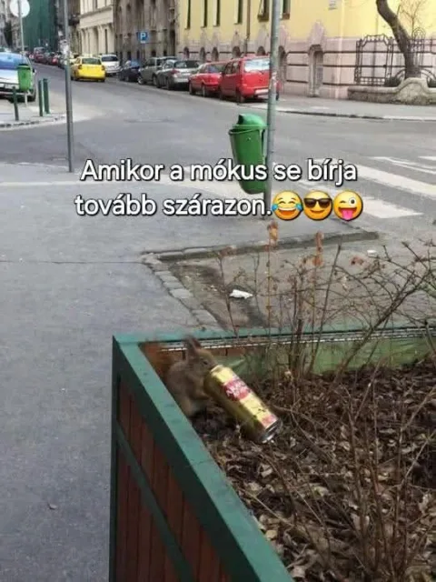 #VK1748365233