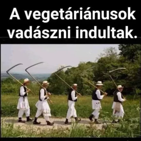 #VK1748368825