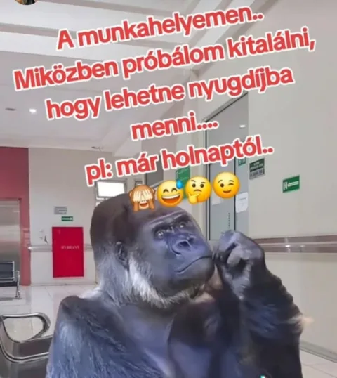 #VK1748419230