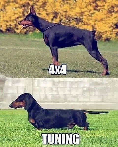 #VK1748505636