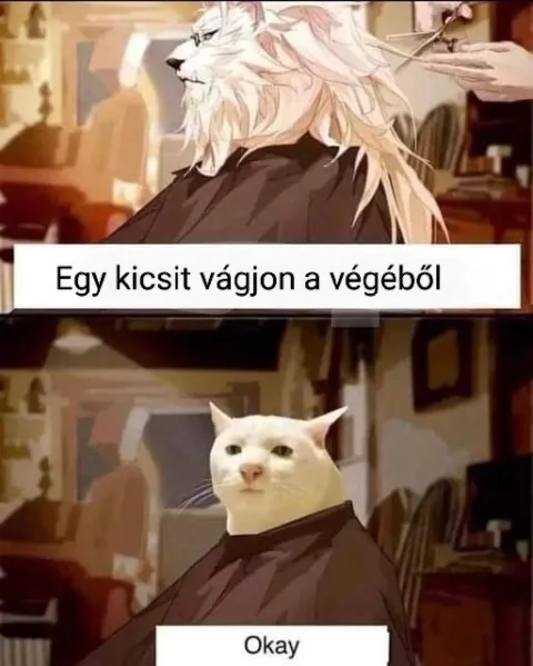 #VK1748693058
