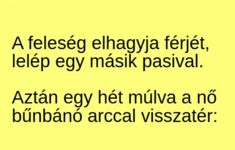 Vicc: A feleség elhagyja férjét, lelép egy másik