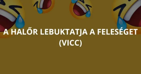 Vicc: A halőr lebuktatja a feleséget