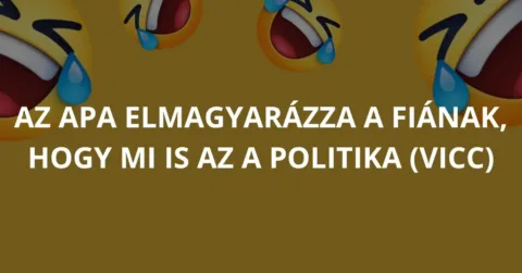 Vicc: Az apa elmagyarázza a fiának, hogy mi is az a politika