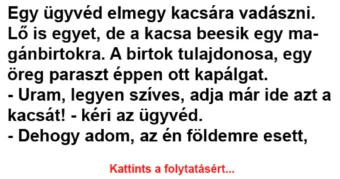 Vicc: Egy ügyvéd elmegy kacsára vadászni –