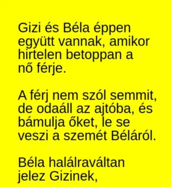Vicc: Gizi és Béla éppen együtt vannak, amikor betoppan a nő…