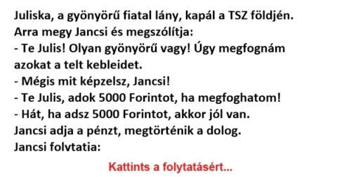Vicc: Ha adsz 5000 Forintot, akkor jól van, csak gyere menjünk oda…