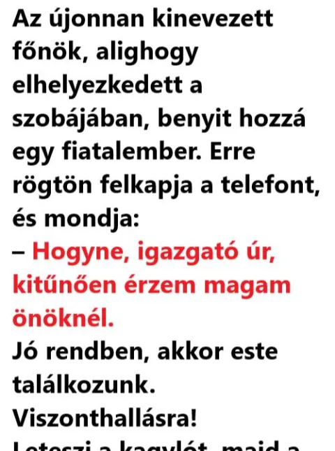 Vicc: NAPI VICC: Az újonnan kinevezett főnök