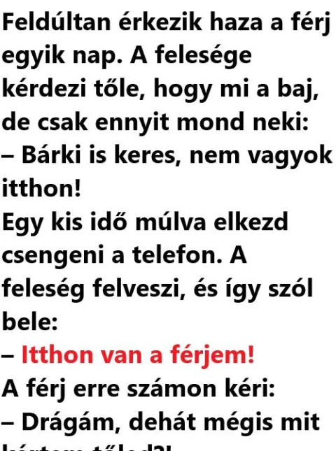 Vicc: POÉN: Feldúltan érkezik haza a férj