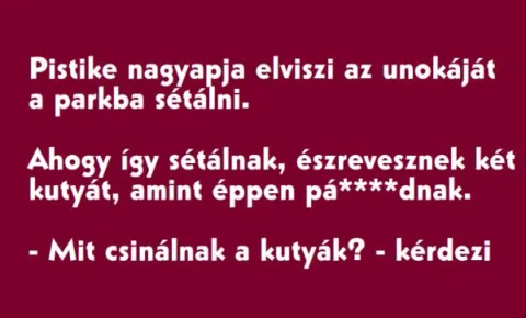 Vicc: Pistike nagyapja elviszi az unokáját a parkba sétálni…