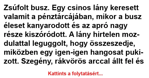 Vicc: Zsúfolt busz. Egy csinos lány keresett valamit a... Vicc: Zsúfolt busz. Egy csinos lány keresett valamit a…