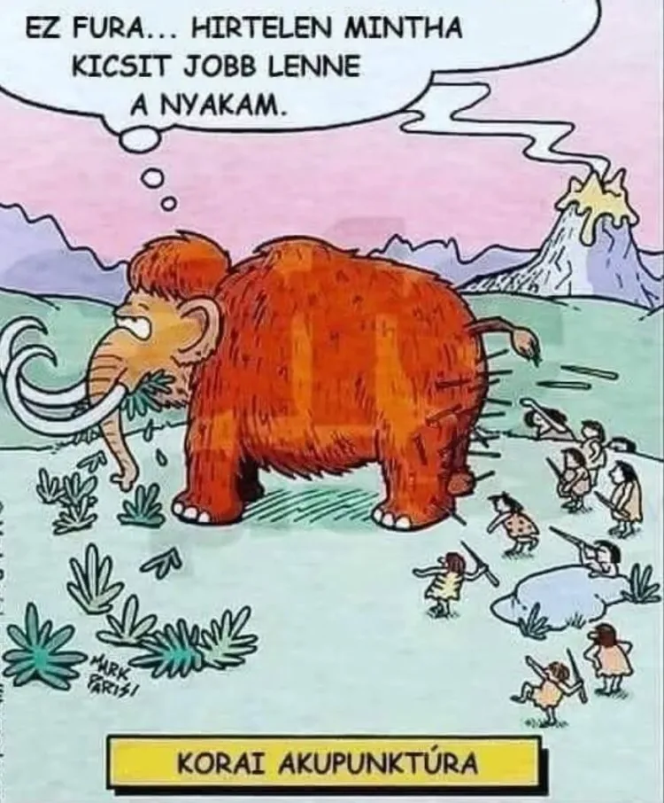 Vicces képek - 1746108035 Vicces képek – 1746108035