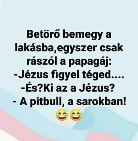 Vicces képek – 1746518435