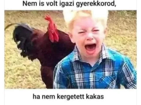 Vicces képek – 1746561557