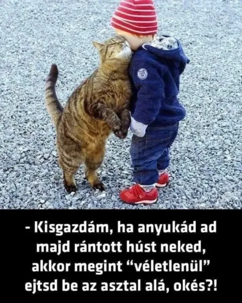 Vicces képek – 1746720026