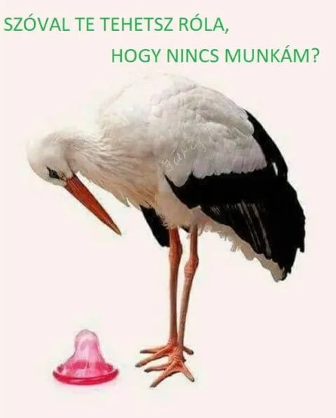 Vicces képek – 1746730808