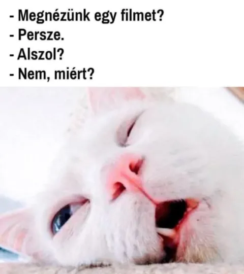 Vicces képek – 1746990025