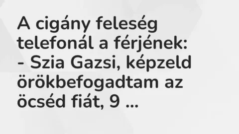 Vicc: A cigány feleség telefonál a férjének:

– Szia Gazsi, képzeld örökbefogadtam…
