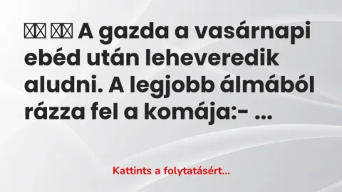 Vicc: 
		  
		  A gazda a vasárnapi ebéd után leheveredik aludni. A legjobb…