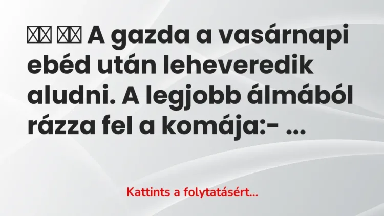 Vicc:
A gazda a vasárnapi ebéd után leheveredik aludni. A legjobb… Vicc:
A gazda a vasárnapi ebéd után leheveredik aludni. A legjobb…