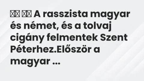 Vicc: 
		  
		  A rasszista magyar és német, és a tolvaj cigány felmentek…