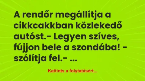 Vicc: A rendőr megállítja a cikkcakkban közlekedő autóst.

-…