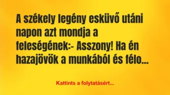 Vicc: A székely legény esküvő utáni napon azt mondja a…