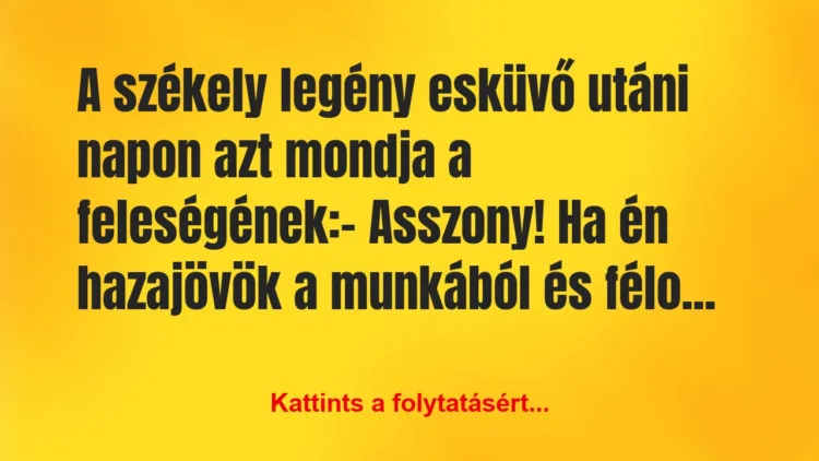 Vicc: A székely legény esküvő utáni napon azt mondja a…