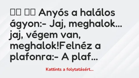 Vicc: 
		  
		  Anyós a halálos ágyon:- Jaj,…