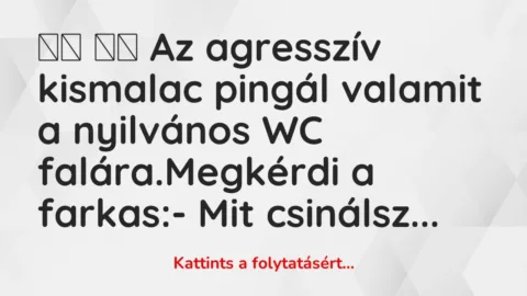 Vicc: 
		  
		  Az agresszív kismalac pingál valamit a …