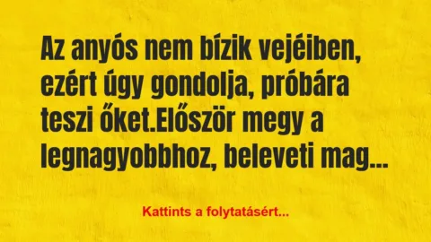 Vicc: Az anyós nem bízik vejéiben, ezért úgy gondolja, próbára…