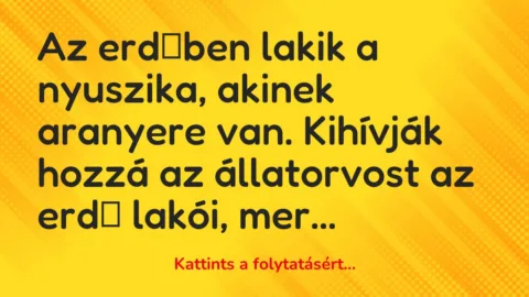Vicc: Az erdőben lakik a nyuszika, akinek aranyere van. Kihívják hozzá az állatorvost…