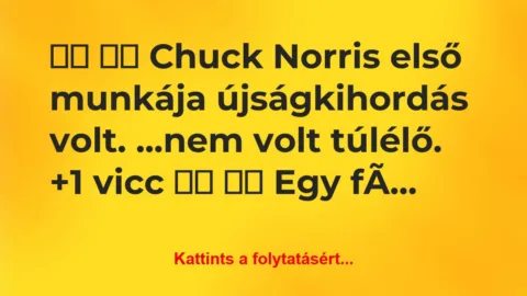 Vicc: 
		  
		  Chuck Norris első munkája újságkihordás…