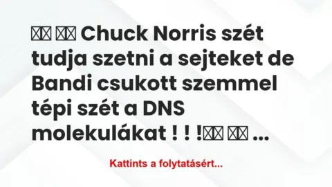 Vicc: 
		  
		  Chuck Norris szét tudja szetni a…