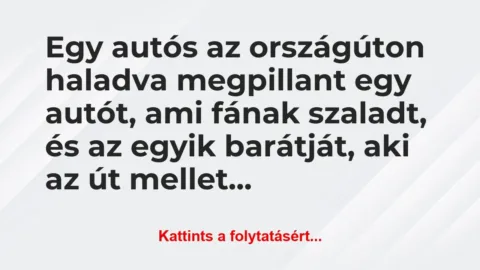 Vicc: Egy autós az országúton haladva megpillant egy autót, ami…