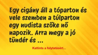 Vicc: Egy cigány áll a tóparton és vele szemben a túlparton egy…