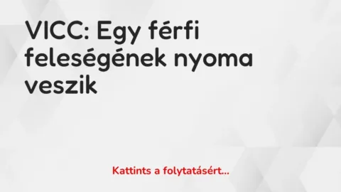 Vicc: Egy férfi feleségének nyoma veszik